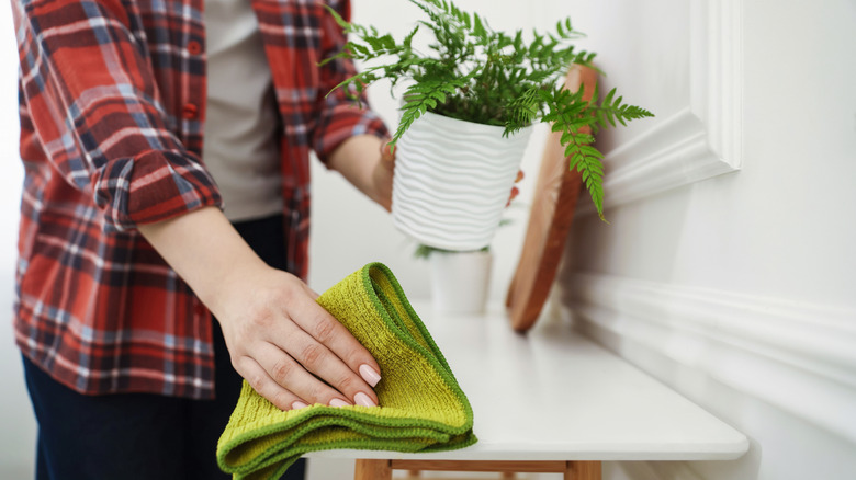 Person wiping a surface that a houseplant was sitting on