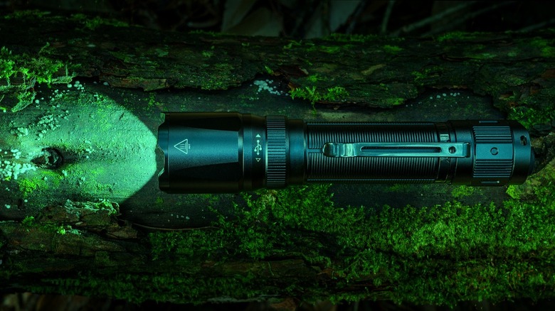 A flashlight rests atop a log and illuminates moss with a green light