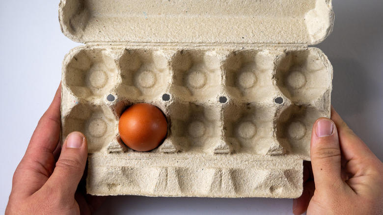 Person holding an egg carton containing one brown egg.