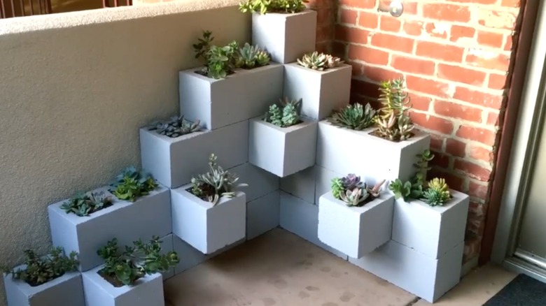 Light gray concrete blocks filled with succulents are stacked in a corner on a patio.