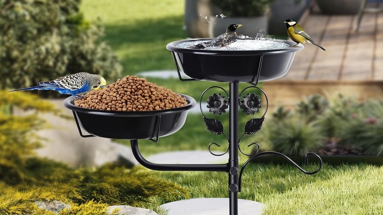 The Lounginglife metal bird bath and feeder available at Amazon