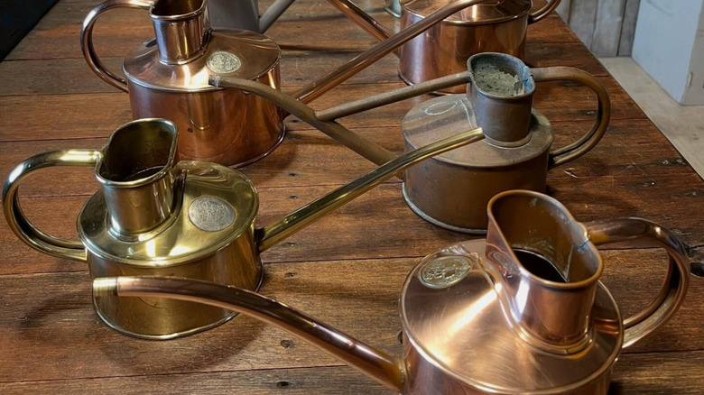 Row of vintage copper Haws watering cans on a table.
