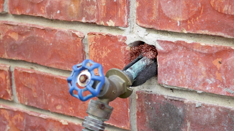 a hole around a hose bibb on a brick exterior is filled with copper mesh