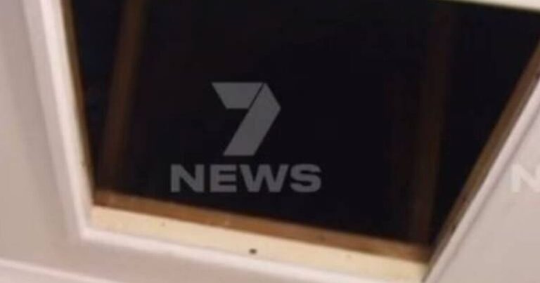 Adelaide grandmother thought a possum was in her attic, but police found a squatter's hidden camp