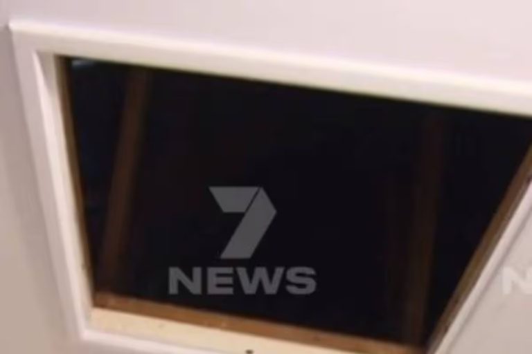 Adelaide grandmother thought a possum was in her attic, then police found a squatter living there