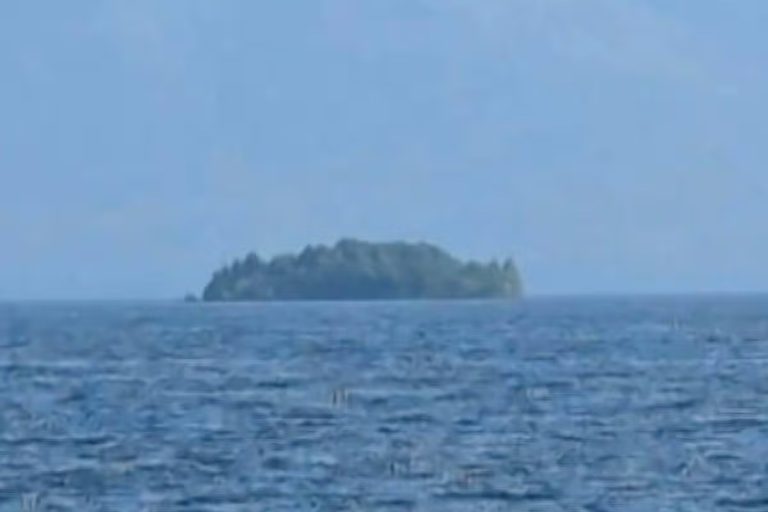 Mystery island the size of a soccer field appears in Canadian reservoir then vanishes weeks later