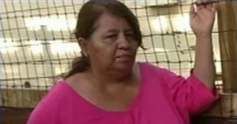 Woman, 52, plunged 75 feet from Texas Giant rollercoaster in 2013 while seated behind her daughter